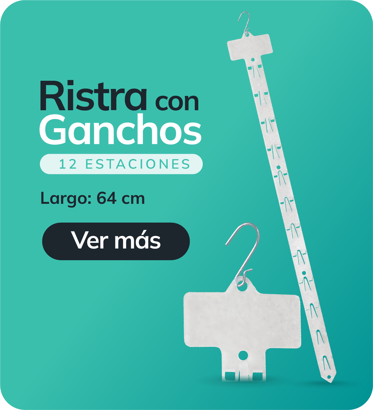 ASDISA - 5 CONTENEDORES-03